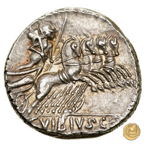 342/5 - denario C. Vibius C.f. Pansa 90 BC (Roma)