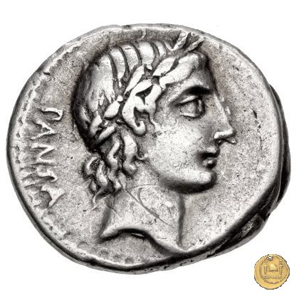 342/5 - denario C. Vibius C.f. Pansa 90 BC (Roma)