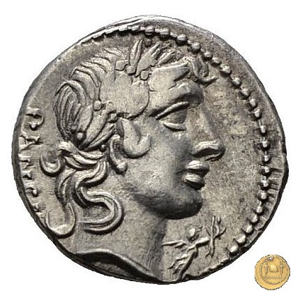 342/5 - denario C. Vibius C.f. Pansa 90 BC (Roma)