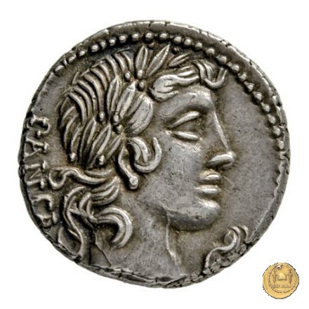 342/5 - denario C. Vibius C.f. Pansa 90 BC (Roma)