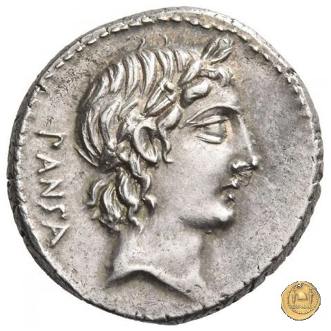 342/5 - denario C. Vibius C.f. Pansa 90 BC (Roma)