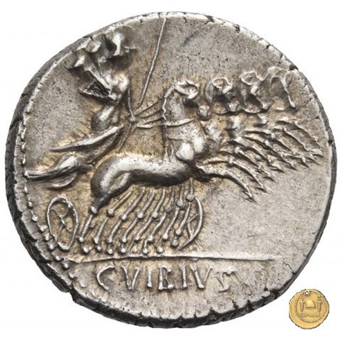 342/5 - denario C. Vibius C.f. Pansa 90 BC (Roma)