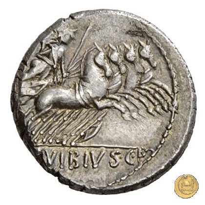 342/6 - denario C. Vibius C.f. Pansa 90 BC (Roma)