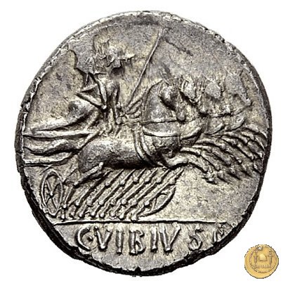 342/6 - denario C. Vibius C.f. Pansa 90 BC (Roma)