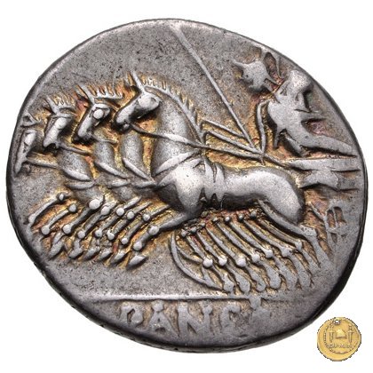 342/6 - denario C. Vibius C.f. Pansa 90 BC (Roma)
