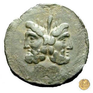 342/7 - asse C. Vibius C.f. Pansa 90 BC (Roma)