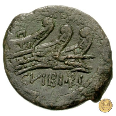 342/7 - asse C. Vibius C.f. Pansa 90 BC (Roma)