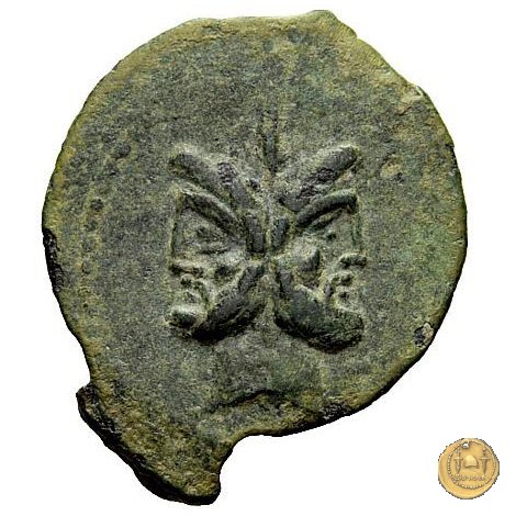 342/7 - asse C. Vibius C.f. Pansa 90 BC (Roma)