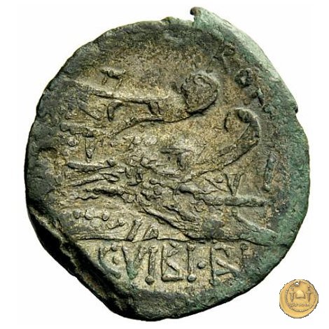 342/7 - asse C. Vibius C.f. Pansa 90 BC (Roma)