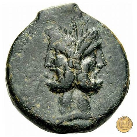 342/7 - asse C. Vibius C.f. Pansa 90 BC (Roma)