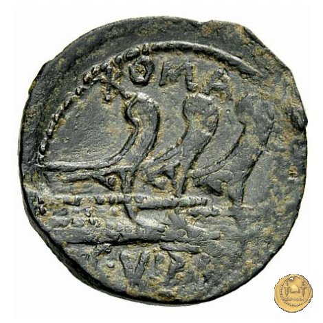 342/7 - asse C. Vibius C.f. Pansa 90 BC (Roma)