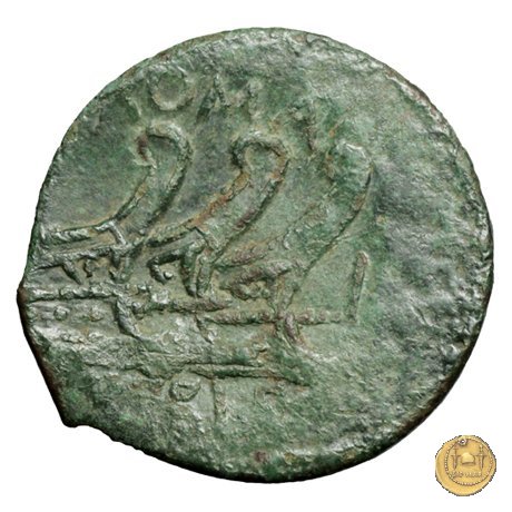 342/7 - asse C. Vibius C.f. Pansa 90 BC (Roma)