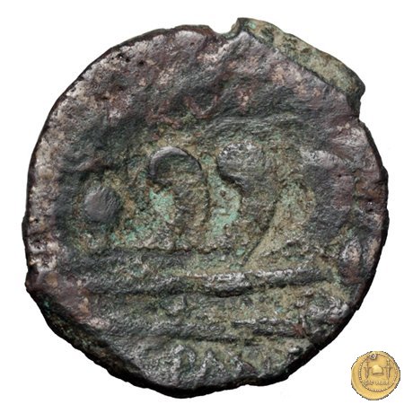 342/7 - asse C. Vibius C.f. Pansa 90 BC (Roma)