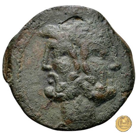 342/7 - asse C. Vibius C.f. Pansa 90 BC (Roma)