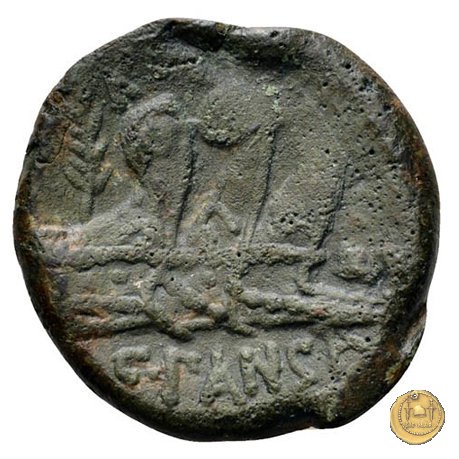 342/7 - asse C. Vibius C.f. Pansa 90 BC (Roma)