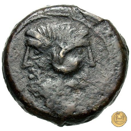 342/7 - asse C. Vibius C.f. Pansa 90 BC (Roma)