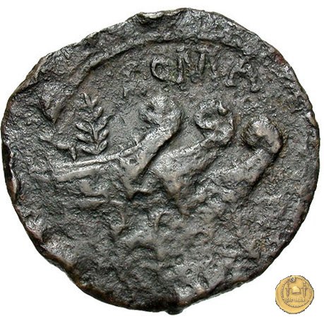 342/7 - asse C. Vibius C.f. Pansa 90 BC (Roma)