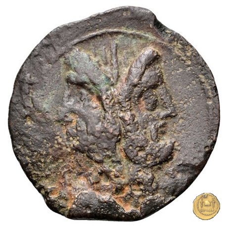 342/7 - asse C. Vibius C.f. Pansa 90 BC (Roma)