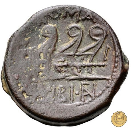 342/7 - asse C. Vibius C.f. Pansa 90 BC (Roma)