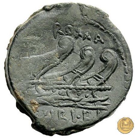 342/7 - asse C. Vibius C.f. Pansa 90 BC (Roma)