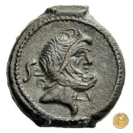 342/8 - semisse C. Vibius C.f. Pansa 90 BC (Roma)