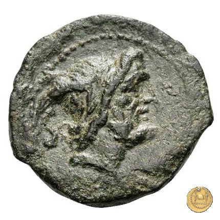 342/8 - semisse C. Vibius C.f. Pansa 90 BC (Roma)