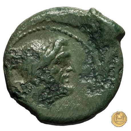 342/8 - semisse C. Vibius C.f. Pansa 90 BC (Roma)