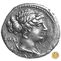 343/1 - denario M. Porcius Cato 89 BC (Roma)