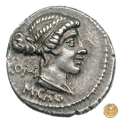 343/1 - denario M. Porcius Cato 89 BC (Roma)