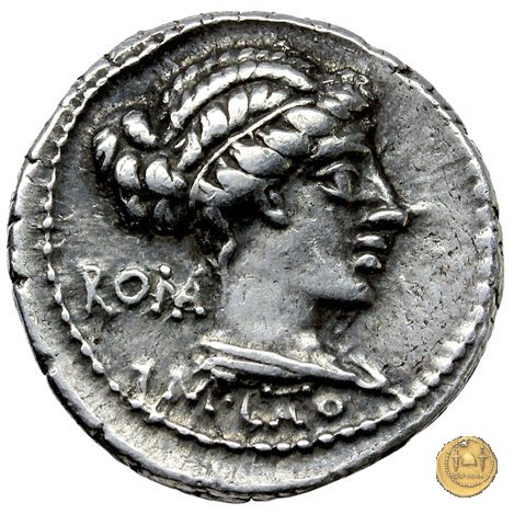 343/1 - denario M. Porcius Cato 89 BC (Roma)