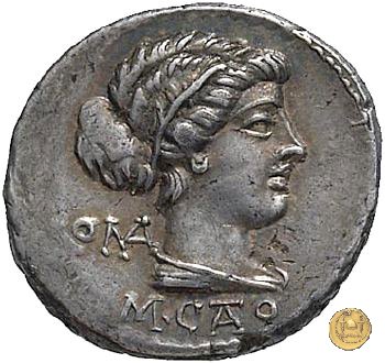 343/1 - denario M. Porcius Cato 89 BC (Roma)