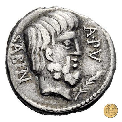 344/2 - denario L. Titurius Sabinus 89 BC (Roma)