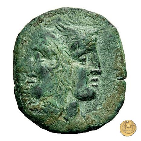 348/6 - asse L. Rubrius Dossenus 87 BC (Roma)