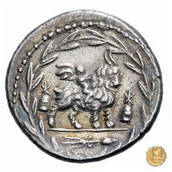 353/1 - denario Mn. Fonteius C.f. 85 BC (Roma)