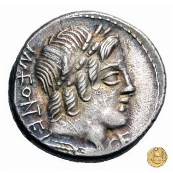 353/1 - denario Mn. Fonteius C.f. 85 BC (Roma)