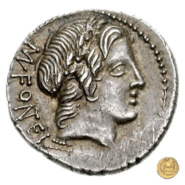 353/1 - denario Mn. Fonteius C.f. 85 BC (Roma)