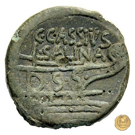 355/1 - asse C. Cassius L.f. Longinus / L. (Iulius) Livius Salinator 84 BC (Roma)