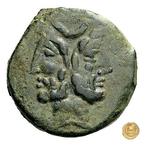 355/1 - asse C. Cassius L.f. Longinus / L. (Iulius) Livius Salinator 84 BC (Roma)