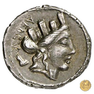 356/1 - denario P. Furius Crassipes 84 BC (Roma)