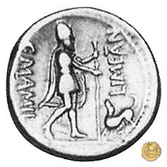 362/1 - denario C. Mamilius Limetanus 82 a.C. (Roma)