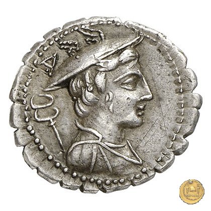 362/1 - denario C. Mamilius Limetanus 82 BC (Roma)