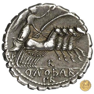 364/1 - denario Q. Antonius Balbus 83-82 BC (Roma)