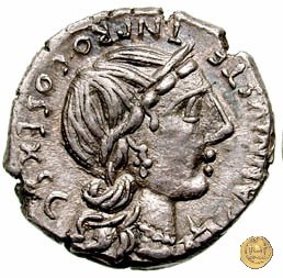 366/4 - denario C. Annius T.f.T.n. / C. Tarquitius P.f. 82-81 BC (Spagna)