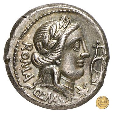 371/1 - denario Q. Fabius Maximus 82-80 BC (Roma)