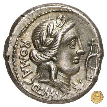 371/1 - denario Q. Fabius Maximus 82-80 BC (Roma)