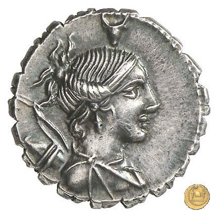 372/1 - denario A. Postumius A.f. Sp.n. Albinus 81 BC (Roma)