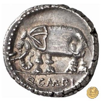 374/1 - denario Q. Caecilius Metellus Pius 81 a.C. (Nord Italia)