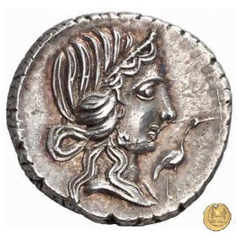 374/1 - denario Q. Caecilius Metellus Pius 81 a.C. (Nord Italia)