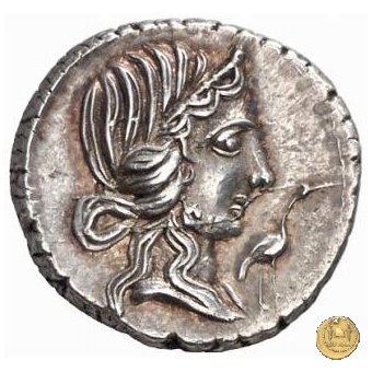 374/1 - denario Q. Caecilius Metellus Pius 81 BC (Nord Italia)