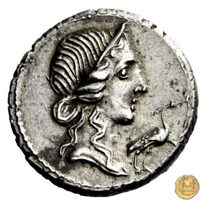 374/1 - denario Q. Caecilius Metellus Pius 81 BC (Nord Italia)